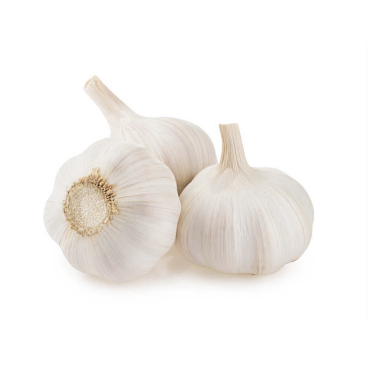 Garlic Imported