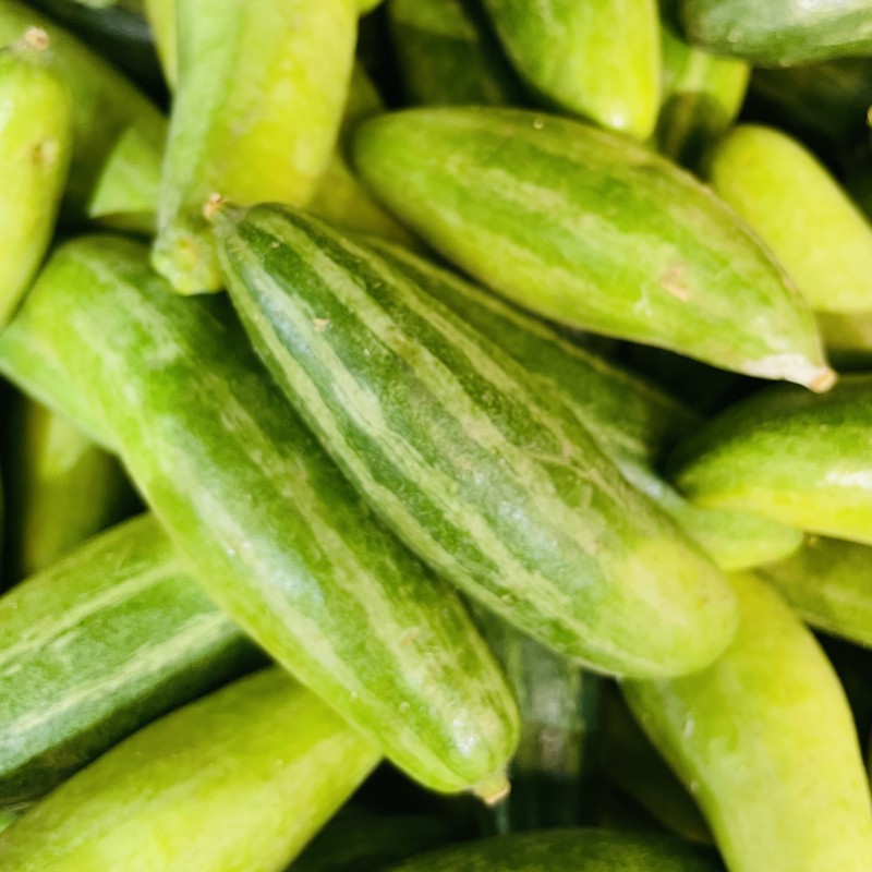 Pointed Gourd (Potol)