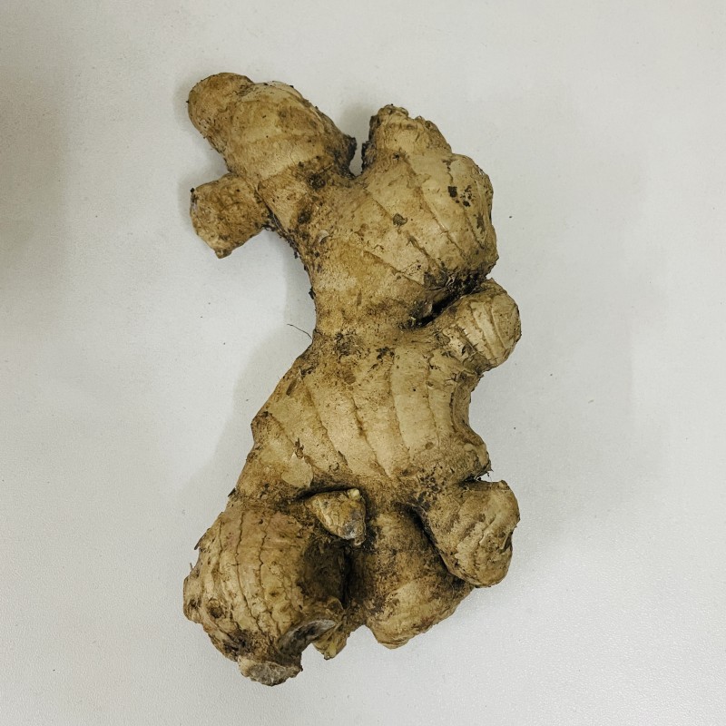 Local Ginger