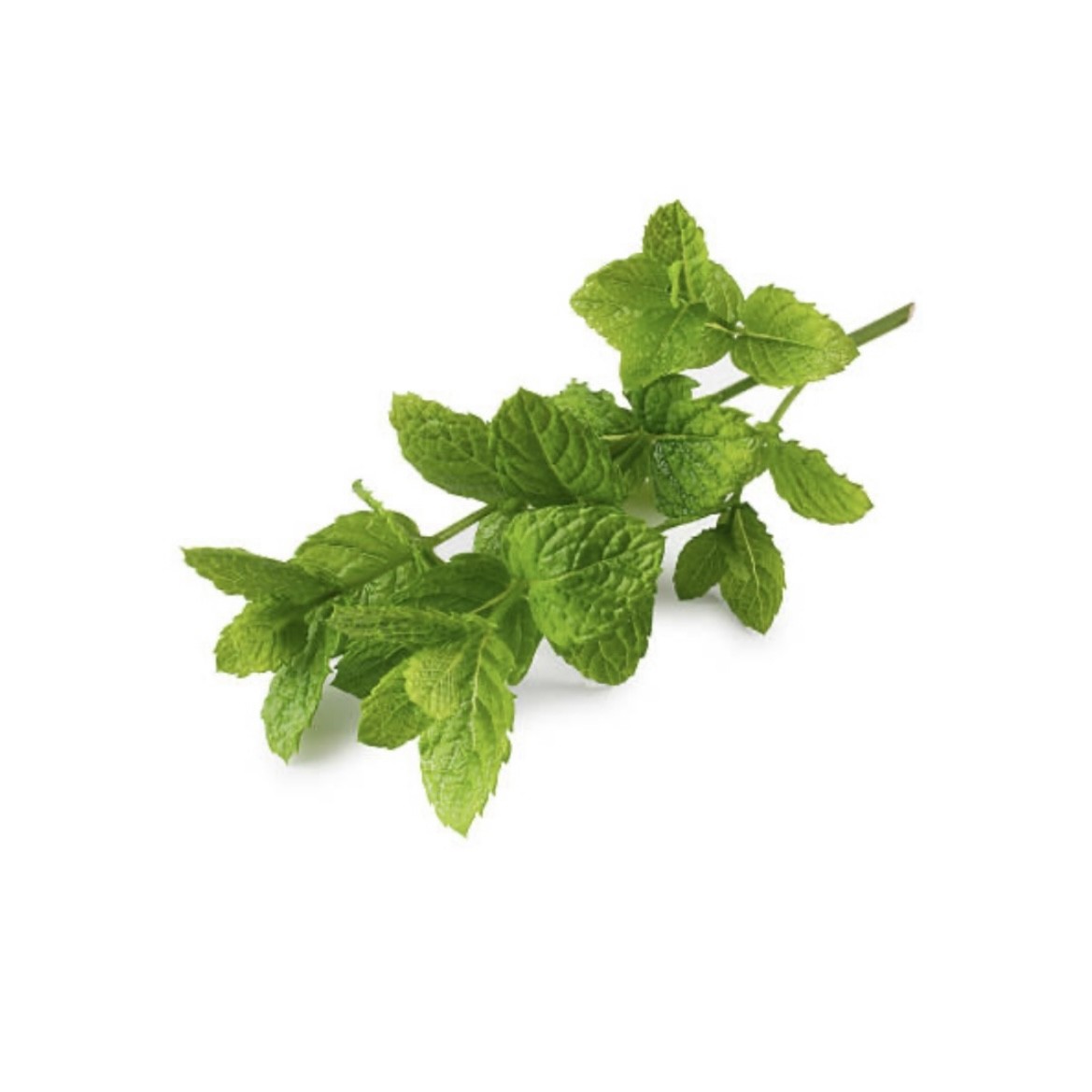 Mint Leaves (Pudina Pata)
