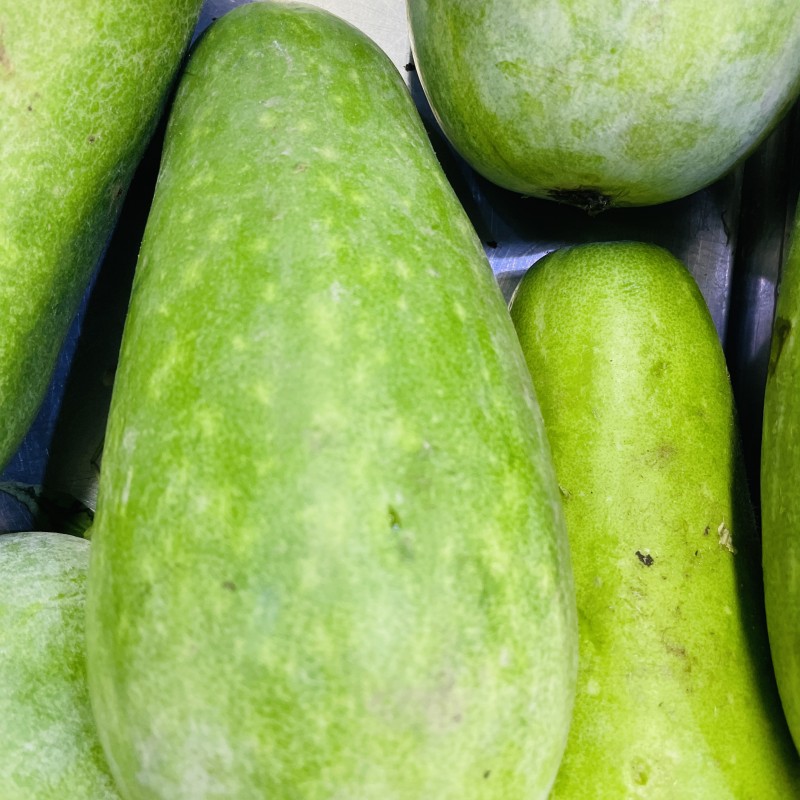 Water Pumpkin (Jali Kumra)