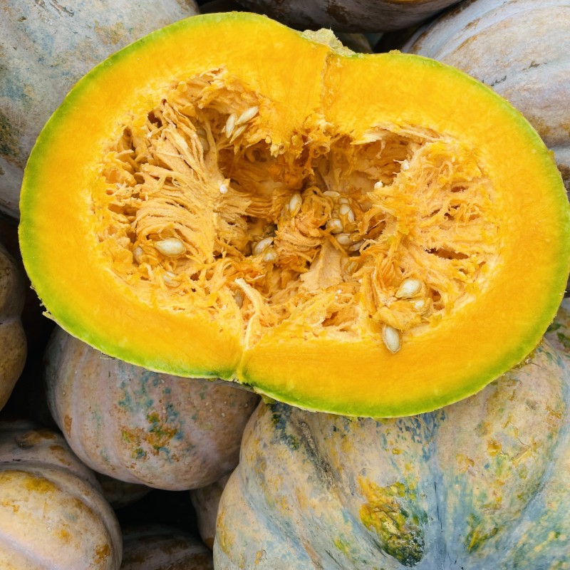 Sweet Pumpkin Slice (Misti Kumra Fali)