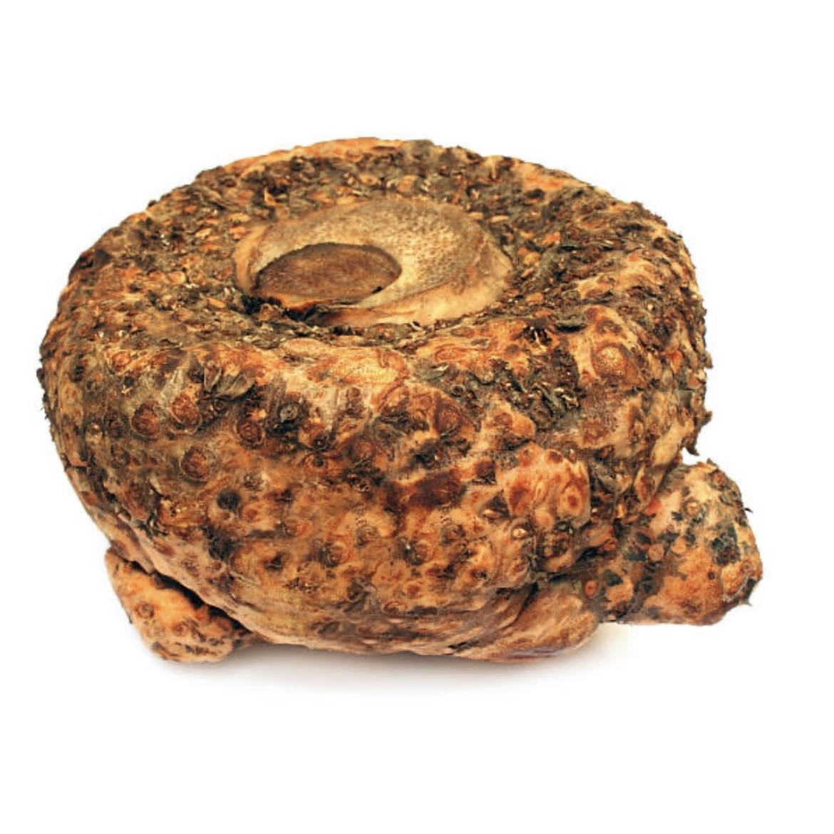 Ol Kochu