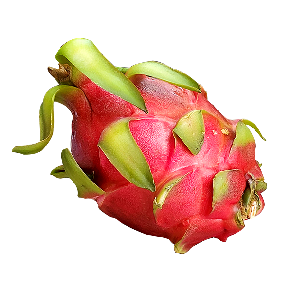 Dragon Fruits
