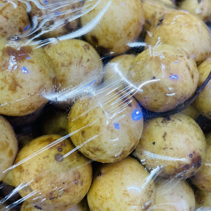 Lotkon