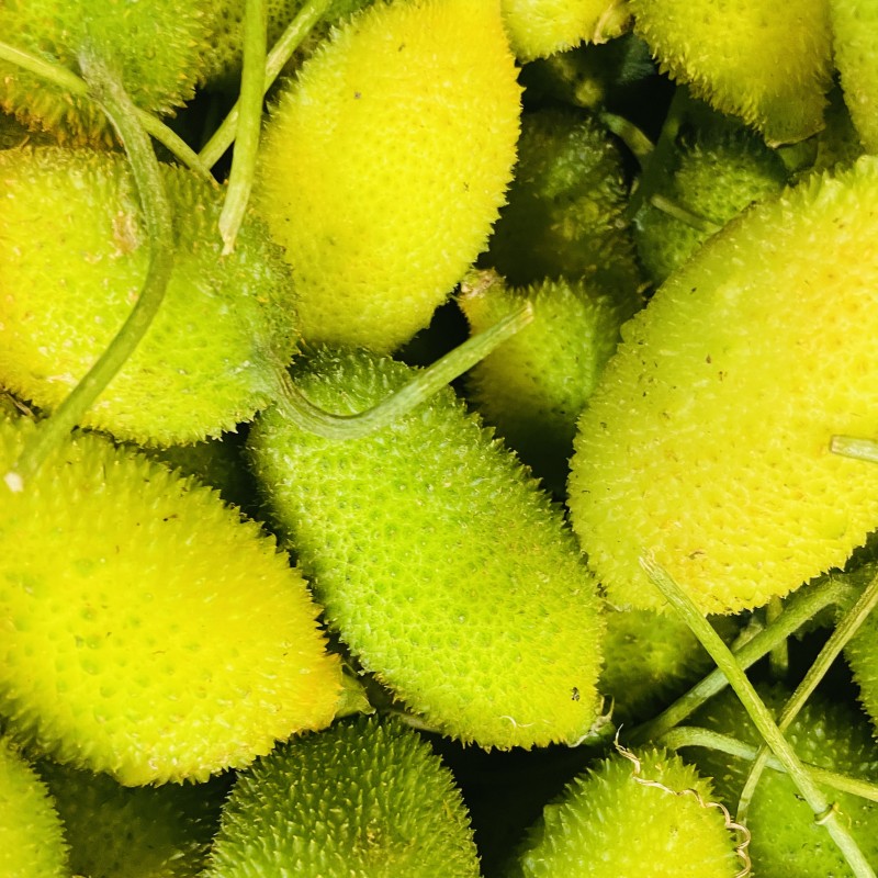 Sweet Bitter Gourd (kakrol)