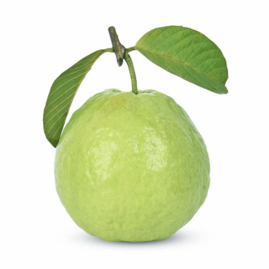 Guava Premium
