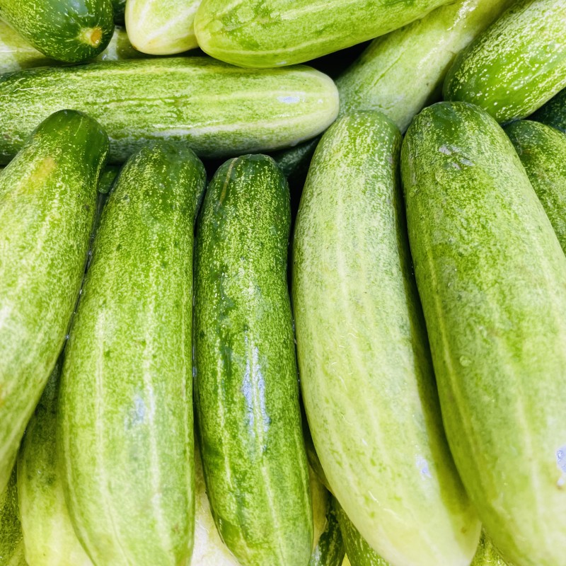 Cucumber (Deshi Shosha)