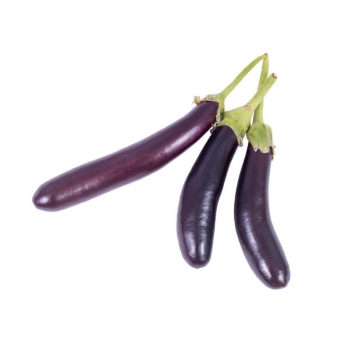 Long Brinjal Black (Lombah Kalo Begun)
