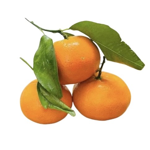 Orange Imported